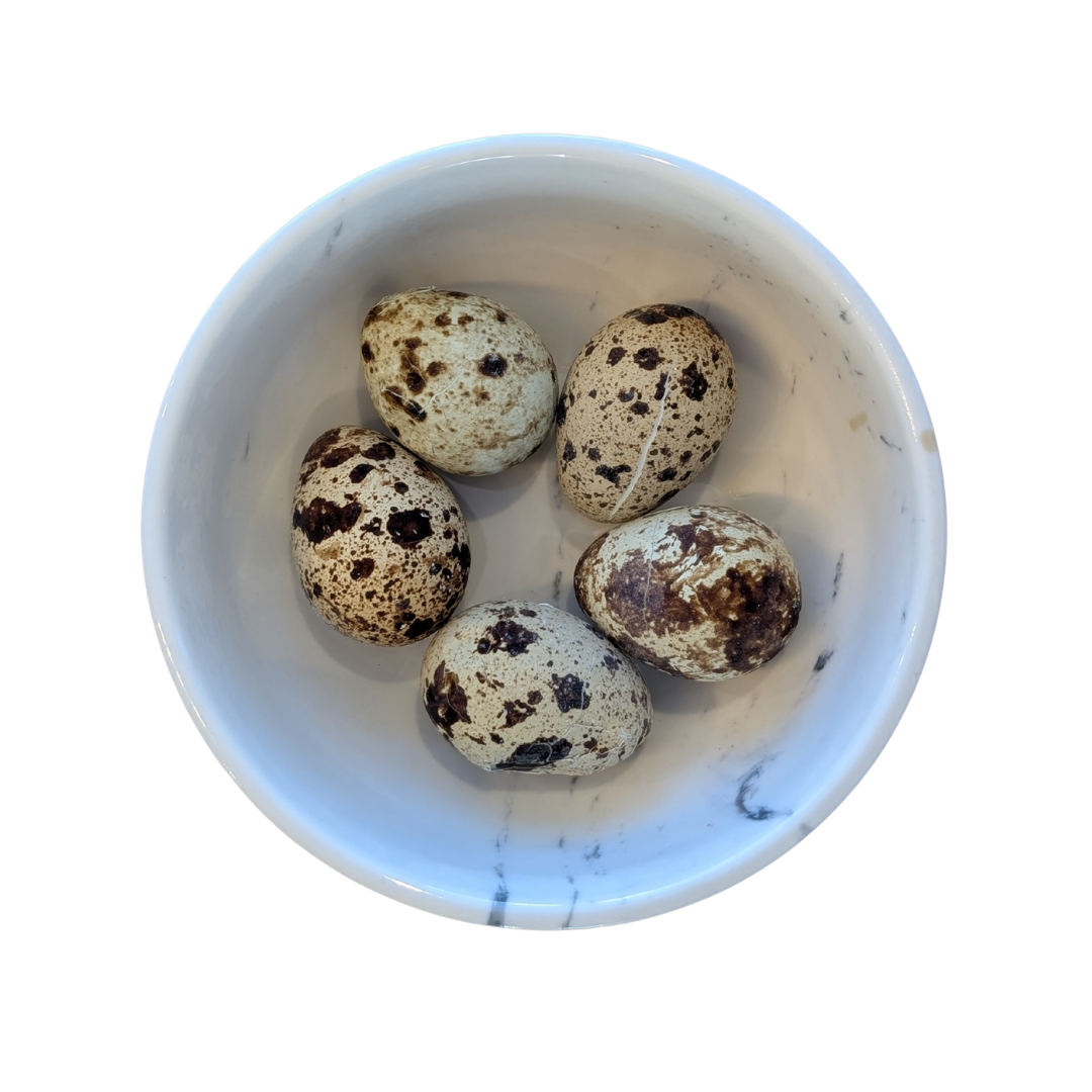 Freeze Dried Whole Quail Eggs