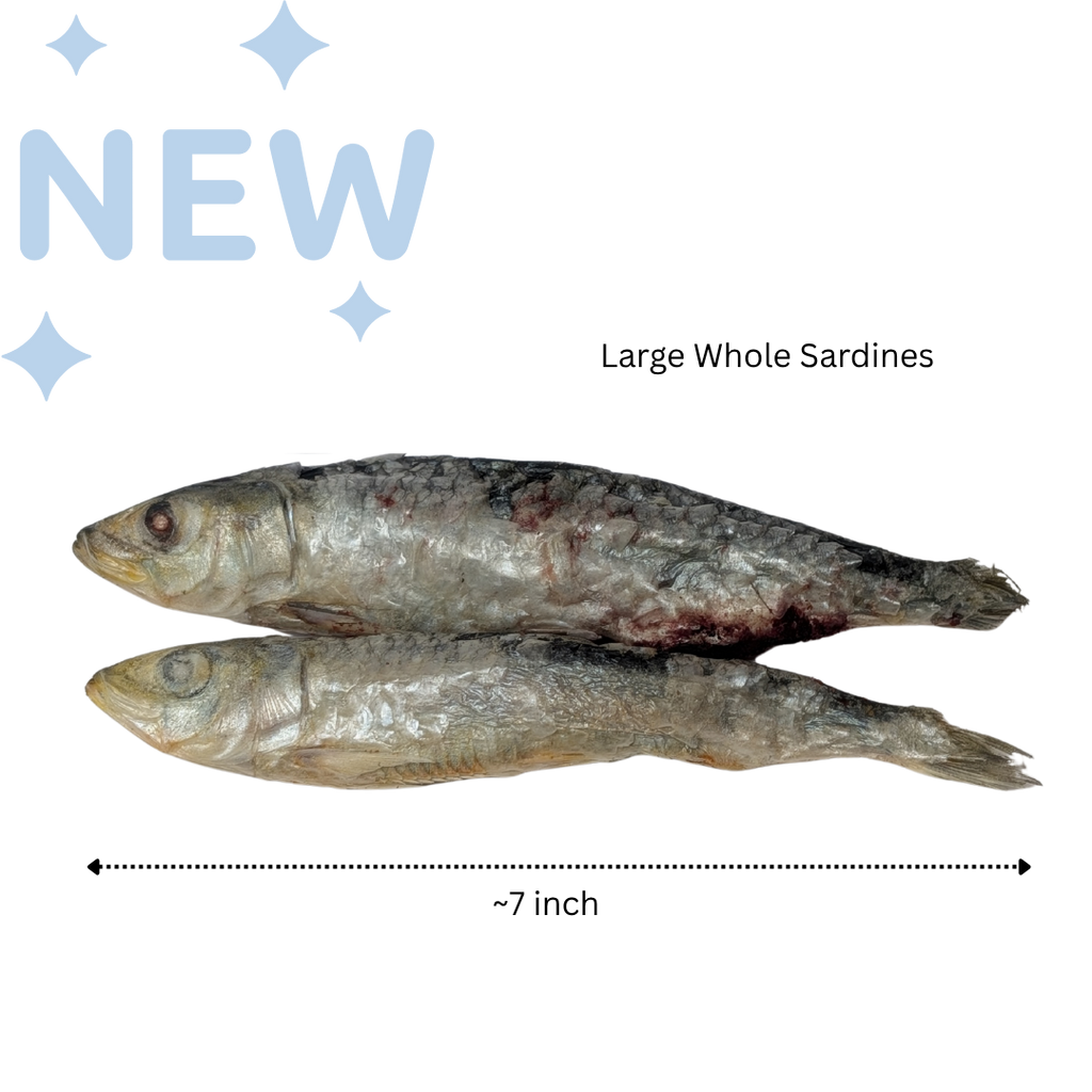 Freeze Dried Whole Sardines