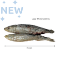 Freeze Dried Whole Sardines