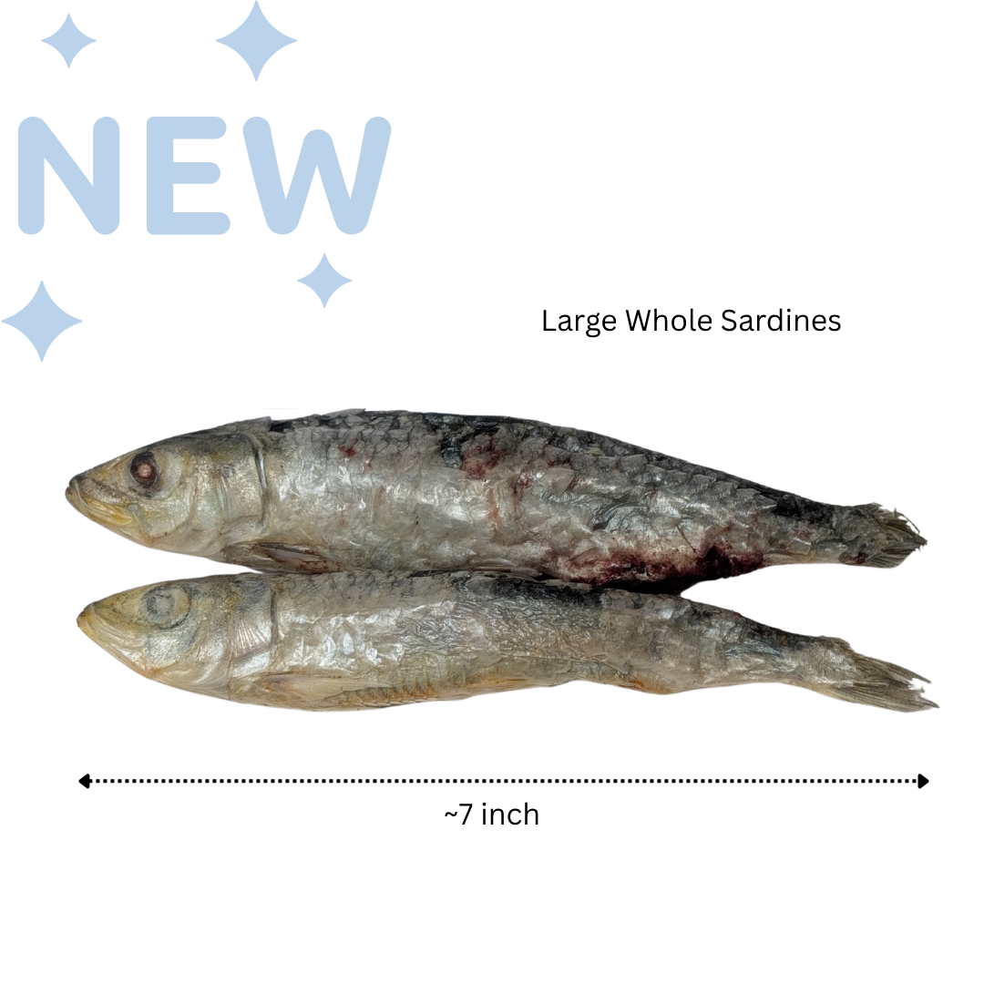 Freeze Dried Whole Sardines