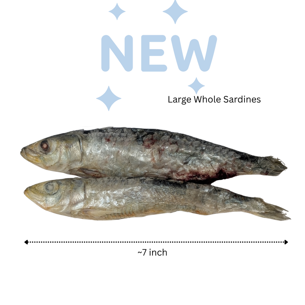 Freeze Dried Whole Sardines