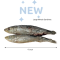 Freeze Dried Whole Sardines